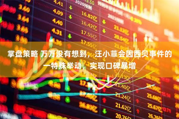 掌盘策略 万万没有想到，汪小菲会因西贝事件的一特殊举动，实现口碑暴增