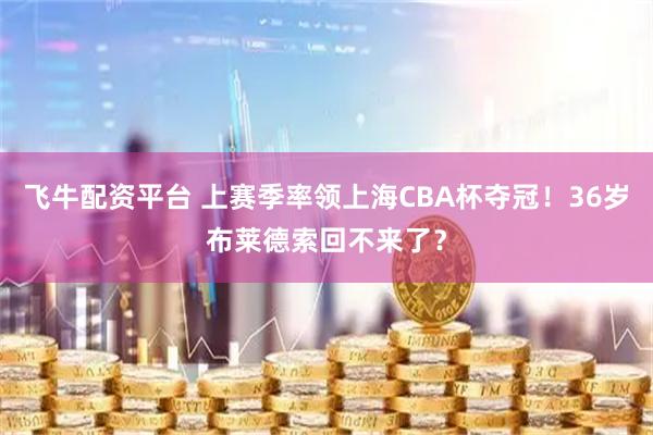 飞牛配资平台 上赛季率领上海CBA杯夺冠！36岁布莱德索回不来了？