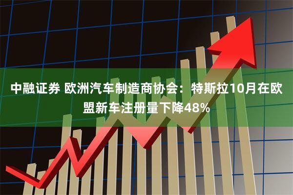 中融证券 欧洲汽车制造商协会：特斯拉10月在欧盟新车注册量下降48%